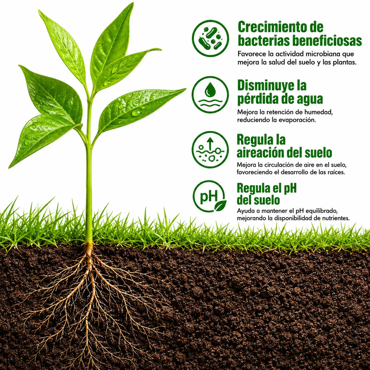 Viresta: Revitaliza el suelo y activa un crecimiento más fuerte desde la raíz.