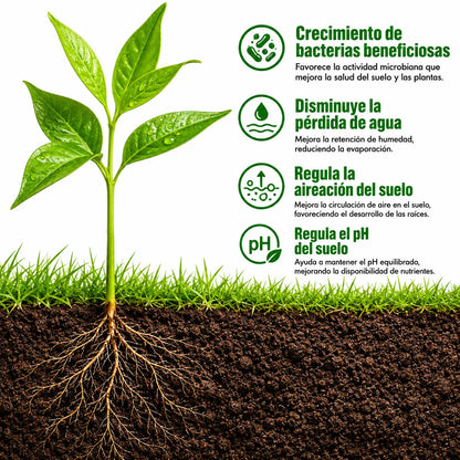 Viresta: Revitaliza el suelo y activa un crecimiento más fuerte desde la raíz.
