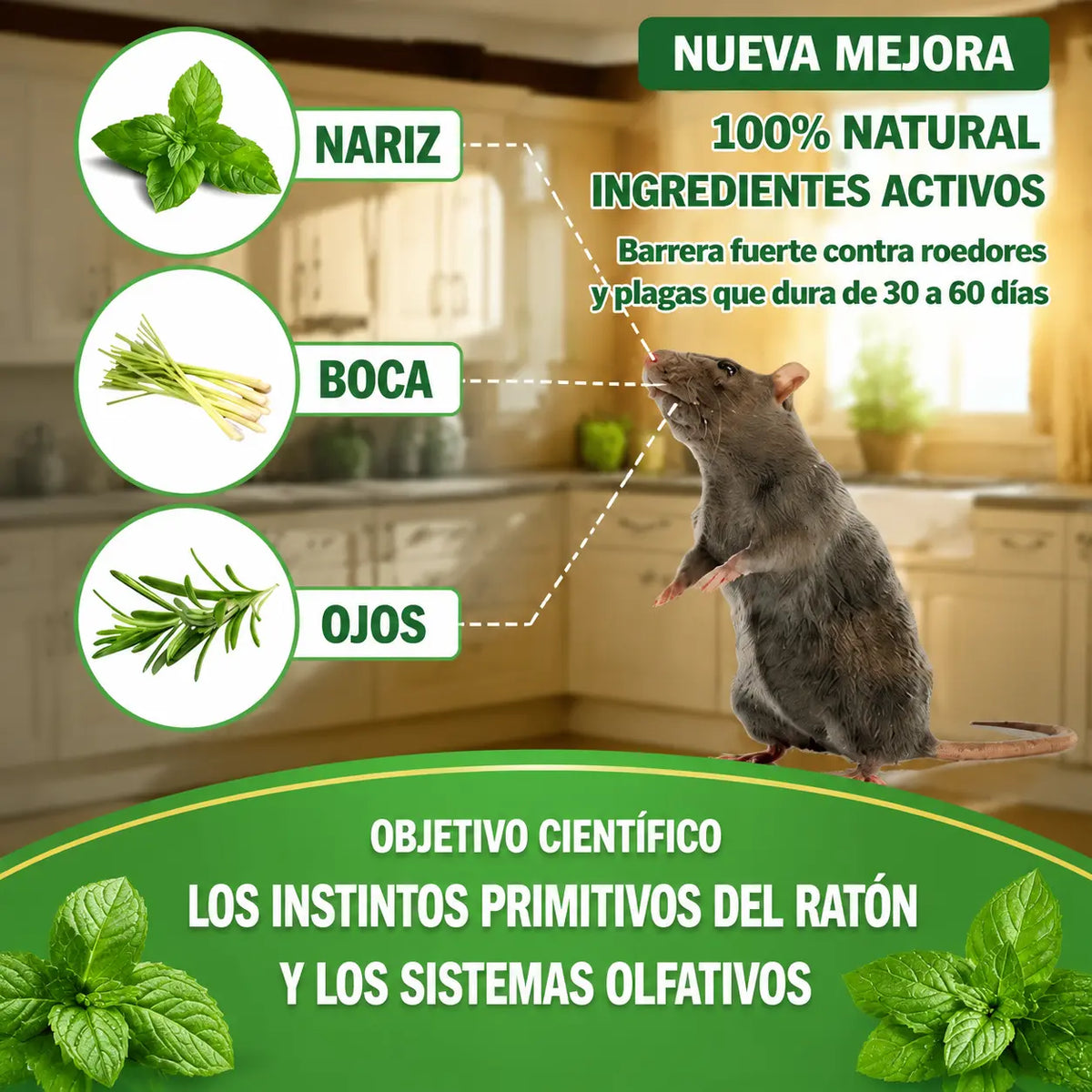 12 Pastillas Repelente Natural de Menta para Ratones y Roedores